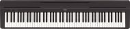 yamahap_451.jpg